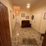 Appartamento arredato con terrazzo Centro