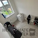 Rent 1 bedroom apartment in East Midlands