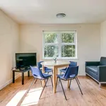 Rent 1 bedroom apartment in Canterbury