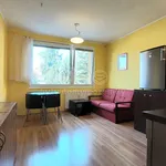 Rent 1 bedroom apartment of 39 m² in Písek