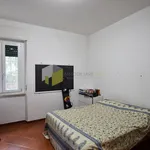 Rent 4 bedroom apartment of 100 m² in Pisa