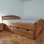 Rent 1 bedroom apartment of 36 m² in Dresden