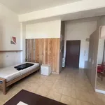 Rent 1 bedroom apartment of 40 m² in Ferrara