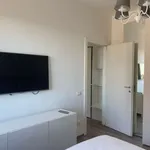 Rent 1 bedroom apartment in milan