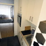 Rent 1 bedroom apartment of 34 m² in München