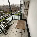 Rent 2 bedroom apartment of 52 m² in Duisburg