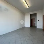 Affitto 1 camera appartamento di 170 m² in Canneto sull'Oglio