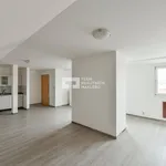 Rent 1 bedroom apartment in Capital City of Prague