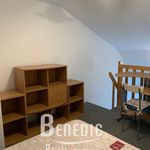 Appartement de 27 m² avec 1 chambre(s) en location à Nancy