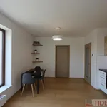 Pronajměte si 2 ložnic/e byt o rozloze 60 m² v Prague