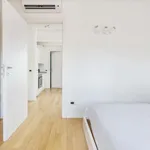 Rent 1 bedroom apartment of 35 m² in milan