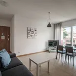 Rent 2 bedroom apartment of 55 m² in Viganello