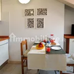 Rent 1 bedroom apartment of 30 m² in Turin