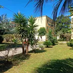 Rent 2 bedroom apartment of 70 m² in Latina