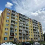 Rent 1 bedroom apartment of 37 m² in rousinov