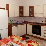 Rent 3 bedroom apartment of 70 m² in Roma