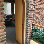 Rent 3 bedroom apartment of 504 m² in Mexico City