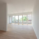 Rent 4 bedroom apartment of 117 m² in Leipzig