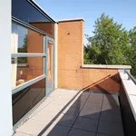 Rent 5 bedroom house of 130 m² in Filmwijk Zuid-zuid van Walt Disneyplts.