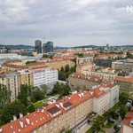 Rent 1 bedroom apartment of 50 m² in Brno