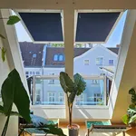 Rent 1 bedroom apartment of 100 m² in Berlin