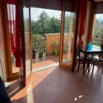 Rent 1 bedroom apartment of 40 m² in Gavirate