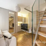 Rent 2 bedroom apartment of 54 m² in Praha 1