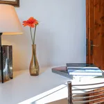 Rent 2 bedroom apartment of 50 m² in Florence