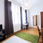 Rent 1 bedroom apartment in krakow