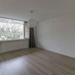 Rent 6 bedroom house of 170 m² in Zeestratenbuurt