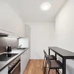 Rent 3 bedroom apartment of 13 m² in Graz