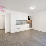 Pronajměte si 2 ložnic/e byt o rozloze 46 m² v Brno