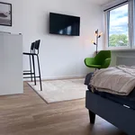 Rent 1 bedroom apartment of 35 m² in Osnabrück