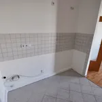 Rent 2 bedroom apartment of 43 m² in Chemnitz