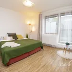 Rent 1 bedroom apartment of 30 m² in Brno