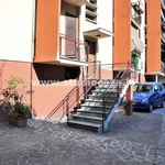 Rent 3 bedroom apartment of 80 m² in Cremona