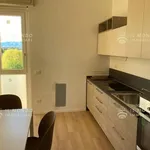 Rent 1 bedroom apartment of 94 m² in Seregno