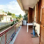 Rent 2 bedroom apartment of 40 m² in Imperia