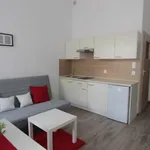 Rent 1 bedroom apartment of 21 m² in Pabianicka