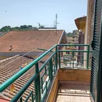 Rent 2 bedroom apartment of 50 m² in Frosinone