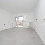 Rent 4 bedroom apartment of 195 m² in Roma