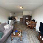 Rent 1 bedroom apartment of 40 m² in Groningen