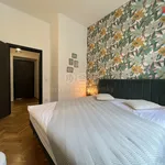 Rent 2 bedroom apartment in Praha 3