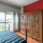 Rent 6 bedroom apartment in Porto