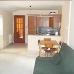 Rent 1 bedroom apartment of 55 m² in Turin