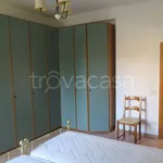 Rent 4 bedroom apartment of 90 m² in Bologna