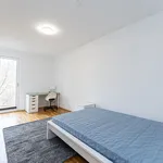 Rent 1 bedroom apartment of 26 m² in Berlin