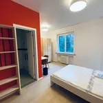 Rent 1 bedroom apartment in brussels