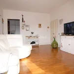 Rent 4 bedroom apartment of 80 m² in Livorno