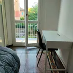 Rent 2 bedroom apartment of 90 m² in Bologna